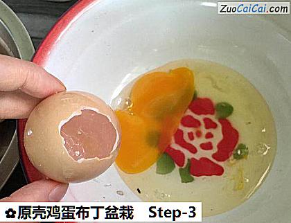 原壳鸡蛋布丁盆栽做法第三步骤