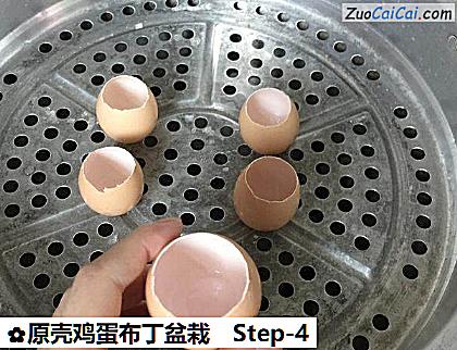 原壳鸡蛋布丁盆栽做法第四步骤