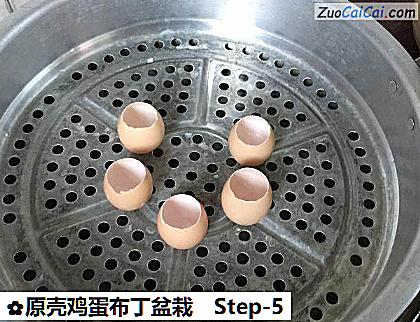 原壳鸡蛋布丁盆栽做法第五步骤