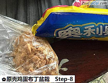 原壳鸡蛋布丁盆栽做法第八步骤