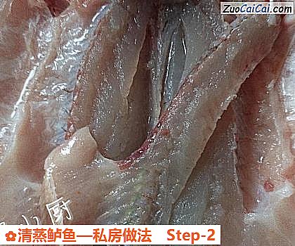 清蒸鲈鱼做法第二步骤
