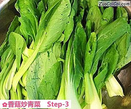 香菇炒青菜做法第三步骤