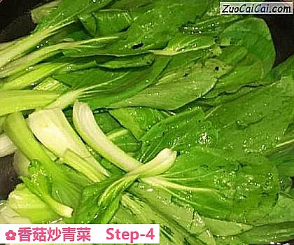 香菇炒青菜做法第四步骤