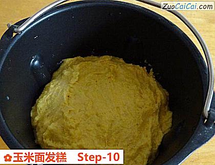 玉米面发糕做法第十步骤