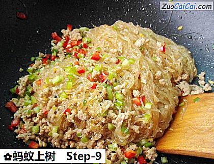 蚂蚁上树做法第九步骤