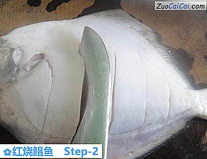 红烧鲳鱼做法第二步骤