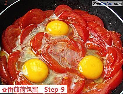 番茄荷包蛋做法第九步骤