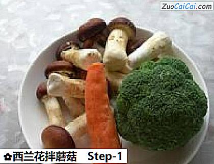 西兰花拌蘑菇做法第一步骤