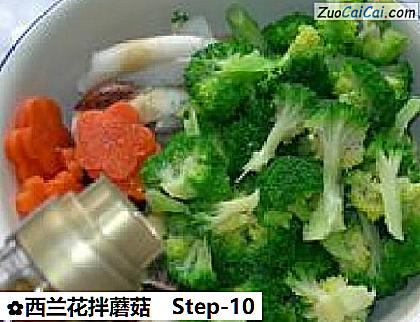 西兰花拌蘑菇做法第十步骤