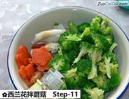 西兰花拌蘑菇做法第十一步骤