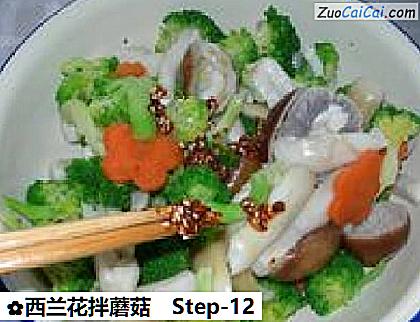 西兰花拌蘑菇做法第十二步骤