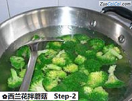 西兰花拌蘑菇做法第二步骤