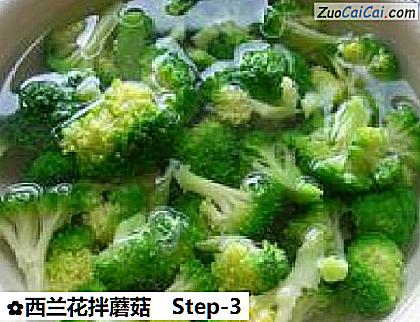 西兰花拌蘑菇做法第三步骤