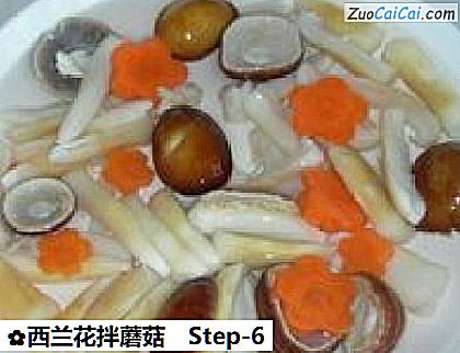 西兰花拌蘑菇做法第六步骤