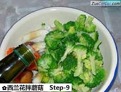 西兰花拌蘑菇做法第九步骤