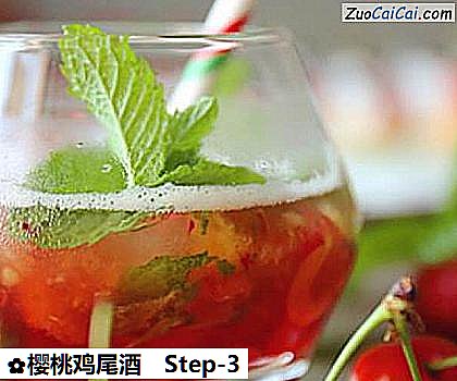 樱桃鸡尾酒做法第三步骤