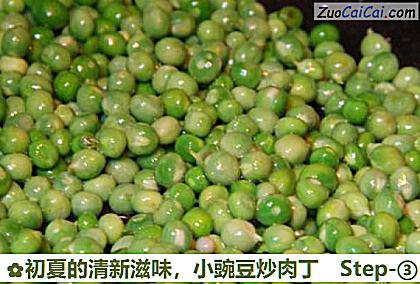 小豌豆炒肉丁做法第三步骤
