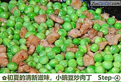 小豌豆炒肉丁做法第四步骤