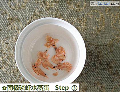 南极磷虾水蒸蛋做法第三步骤