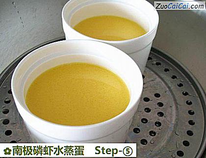 南极磷虾水蒸蛋做法第五步骤