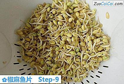 椒麻鱼片做法第九步骤