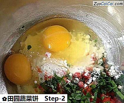 田园蔬菜饼做法第二步骤