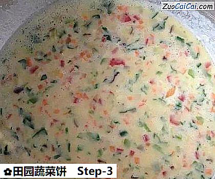 田园蔬菜饼做法第三步骤