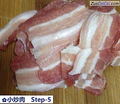 小炒肉做法第五步骤