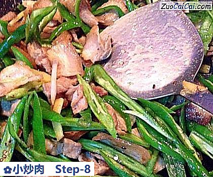 小炒肉做法第八步骤