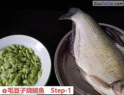毛豆子烧鳊鱼做法第一步骤