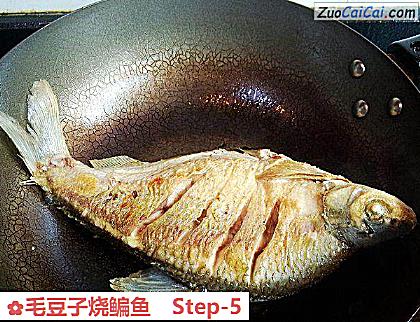 毛豆子烧鳊鱼做法第五步骤