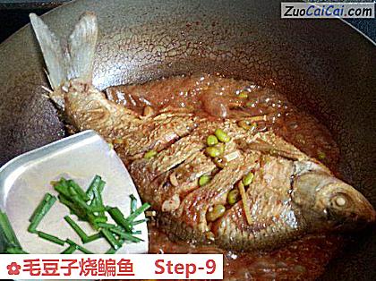 毛豆子烧鳊鱼做法第九步骤