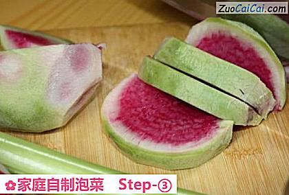家庭自制泡菜做法第三步骤