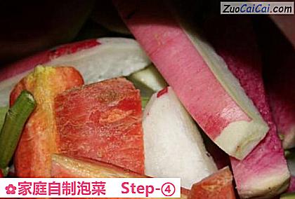 家庭自制泡菜做法第四步骤