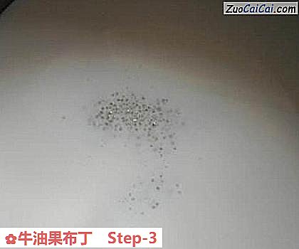 牛油果布丁做法第三步骤