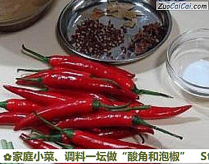 家庭小菜、调料一坛做“酸角和泡椒”做法第一步骤
