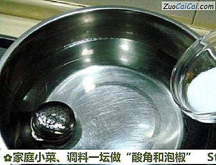 家庭小菜、调料一坛做“酸角和泡椒”做法第四步骤
