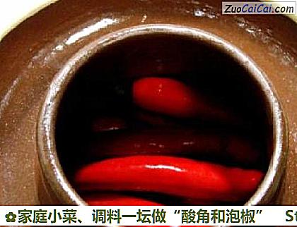 家庭小菜、调料一坛做“酸角和泡椒”做法第六步骤