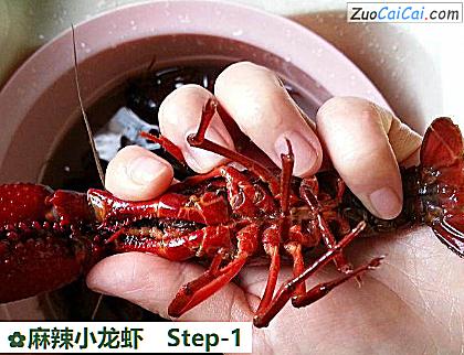 麻辣小龙虾做法第一步骤