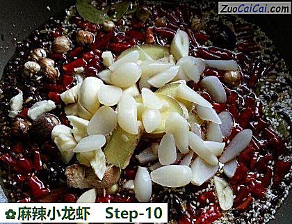 麻辣小龙虾做法第十步骤