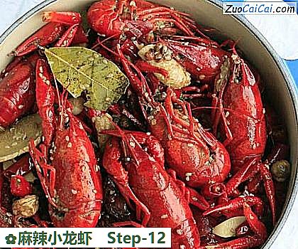 麻辣小龙虾做法第十二步骤