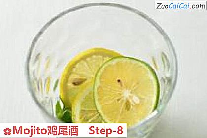 Mojito鸡尾酒做法第八步骤
