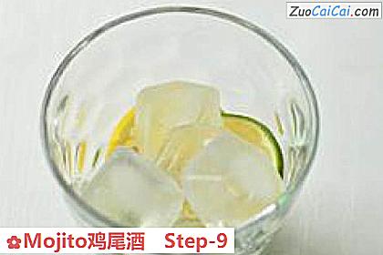 Mojito鸡尾酒做法第九步骤