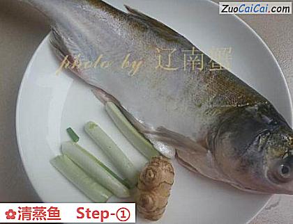 清蒸鱼做法第一步骤