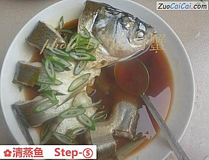 清蒸鱼做法第五步骤