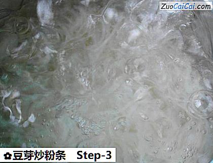 豆芽炒粉条做法第三步骤
