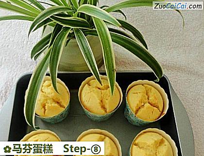 马芬蛋糕做法第八步骤