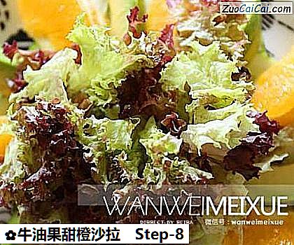 牛油果甜橙沙拉做法第八步骤