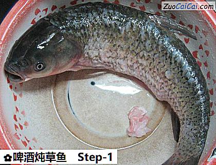 啤酒炖草鱼做法第一步骤