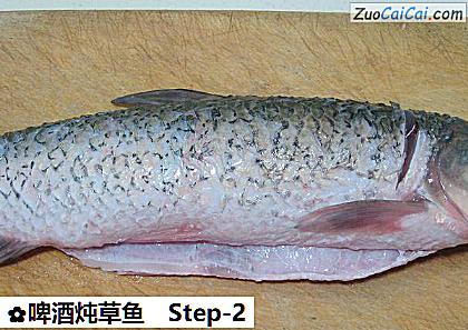 啤酒炖草鱼做法第二步骤